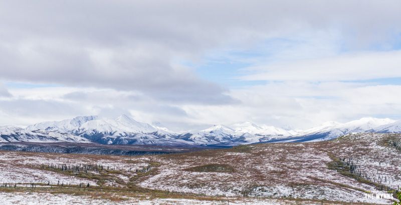 Denali National Park