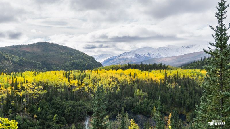 camping trip Denali National Park
