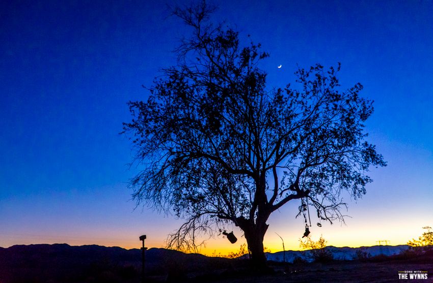 free camping joshua tree