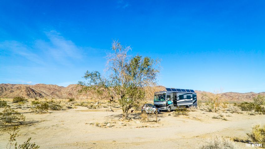 free camping joshua tree