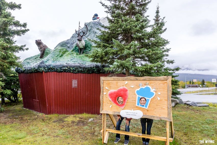 the muffin haines junction alaska