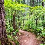 hike near hells gate