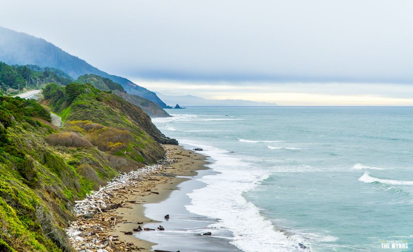 coastal redwoods road trip