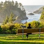 Beautiful coastal california