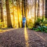 Redwood National Park