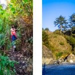 hiking coastal redwoods