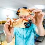 colossal stone crab