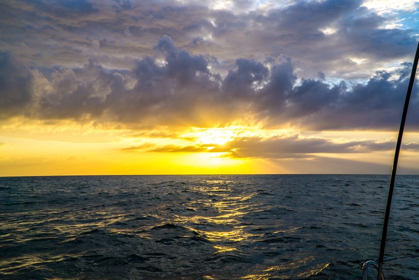 _DSC5284-20160407_shel-sail