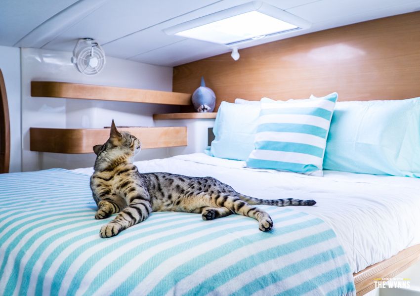 living on a catamaran