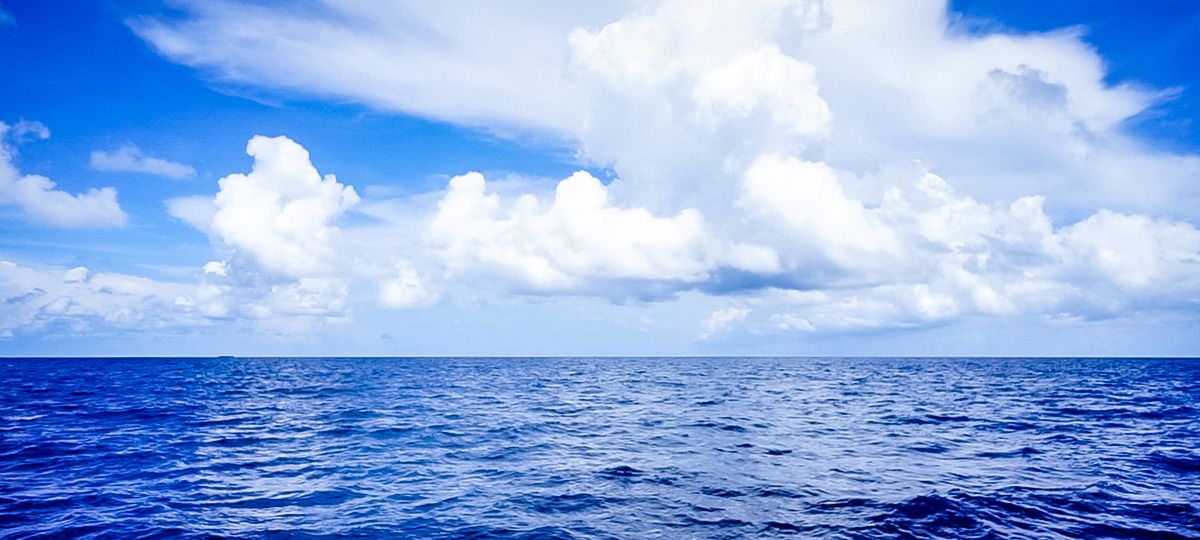 sailing around the world