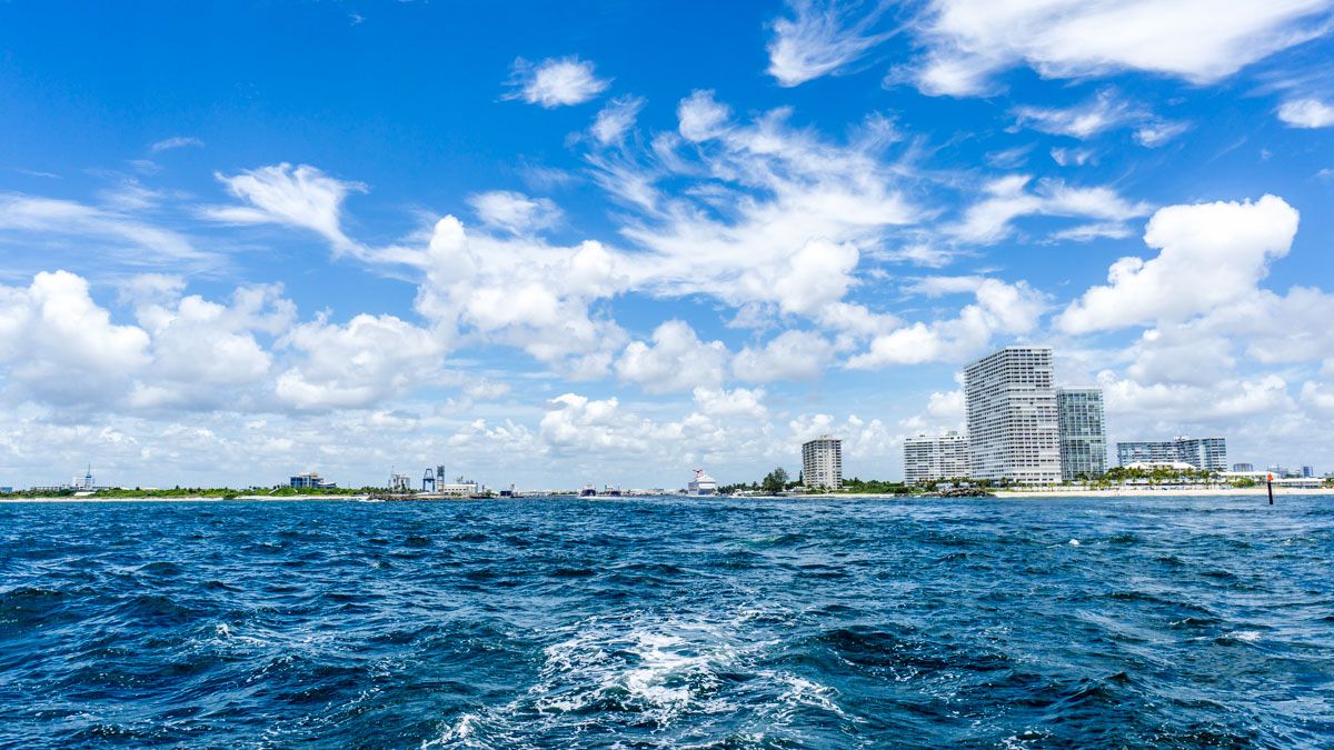 leaving our safe harbor