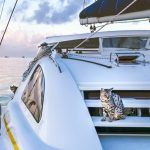 sailboat shakedown cruise