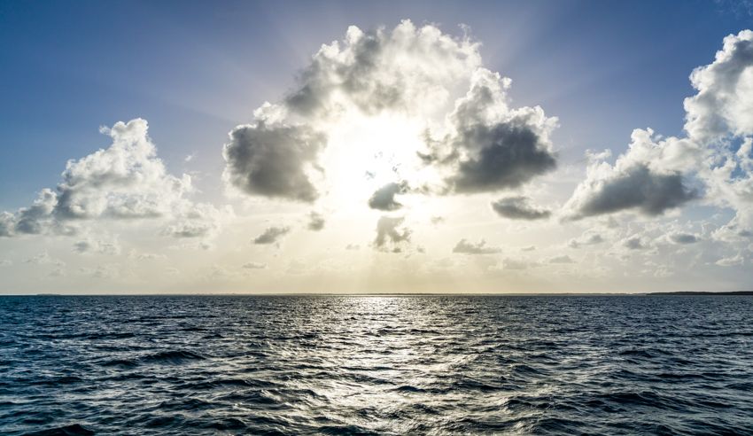 sailing around the world