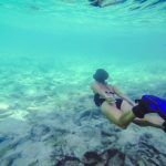 alligator reef florida