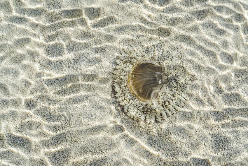 cruising Abaco bahamas