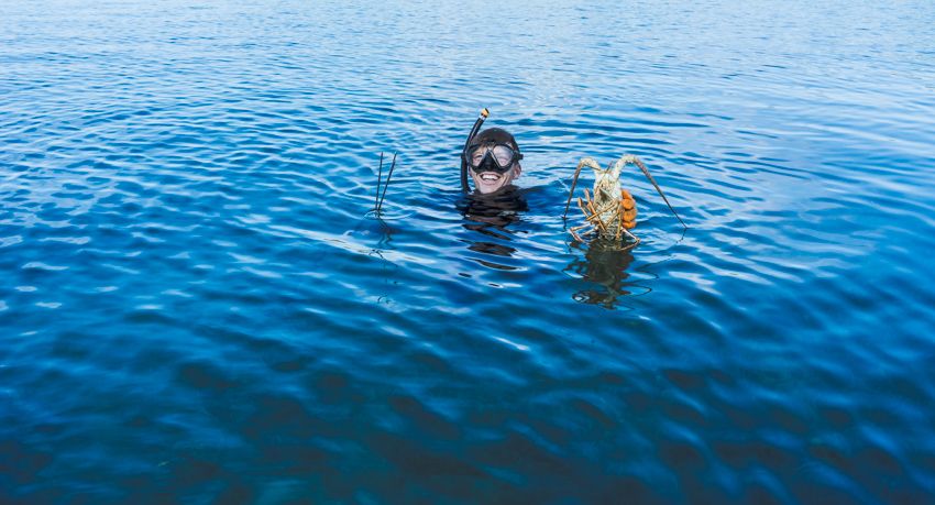 spearfishing bahamas