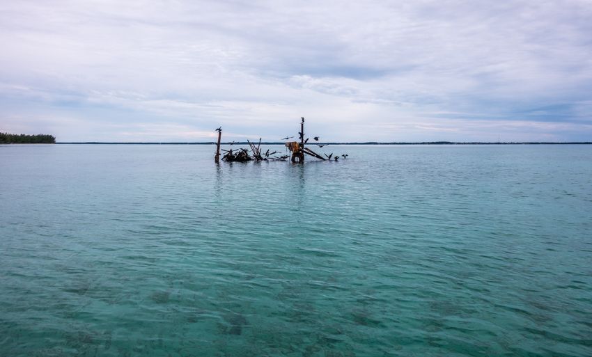 exploring the bahamas