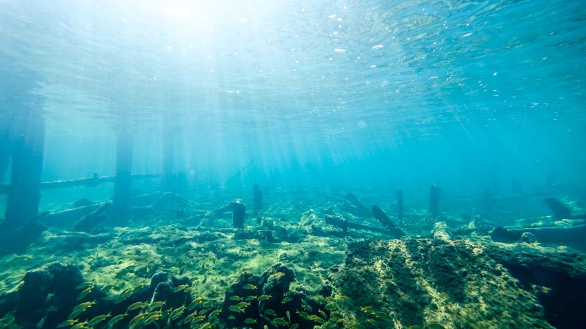 snorkeling wrecks at munjack cay bahamas