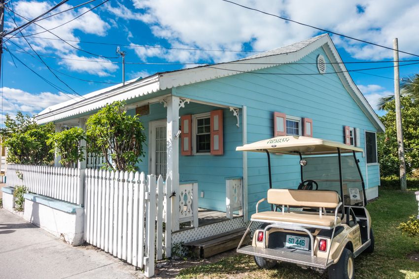 green turtle bahamas