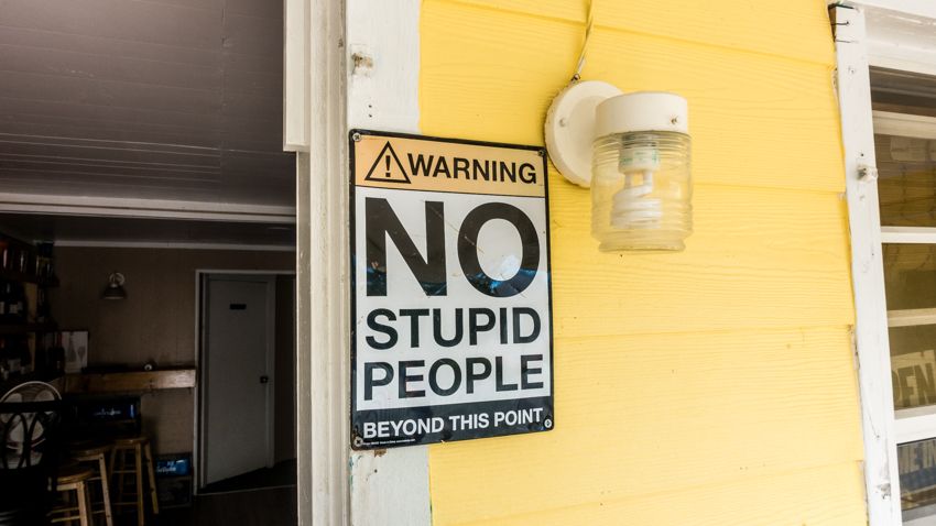 green turtle, no stupid people