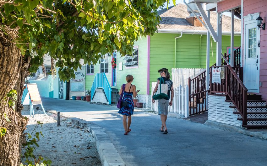 walkabout green turtle