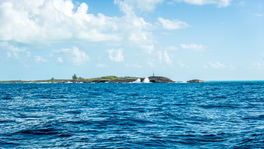 Whale passage