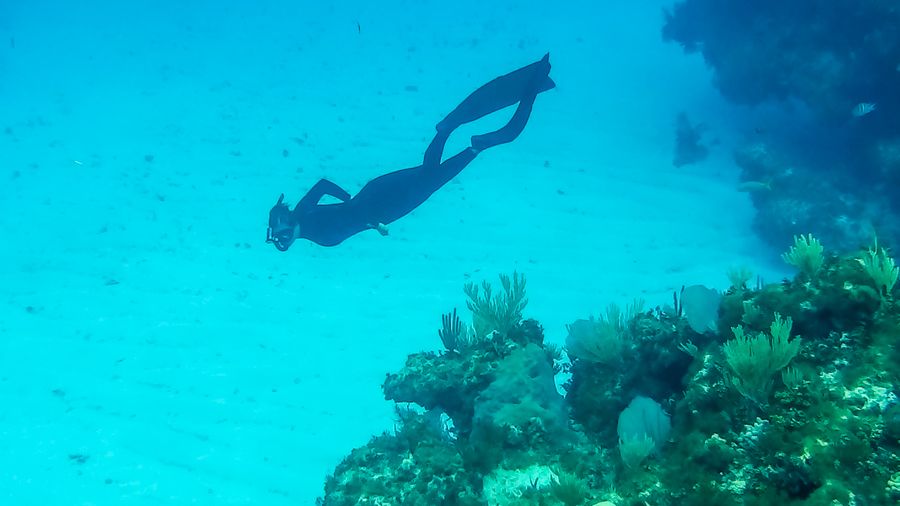 snorkeling Fowl Cays National Park