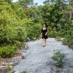 traveling cat goes on a walk