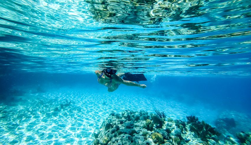 snorkeling land and sea park