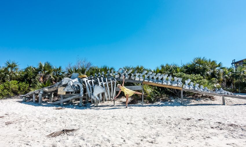 warderick wells land and sea park