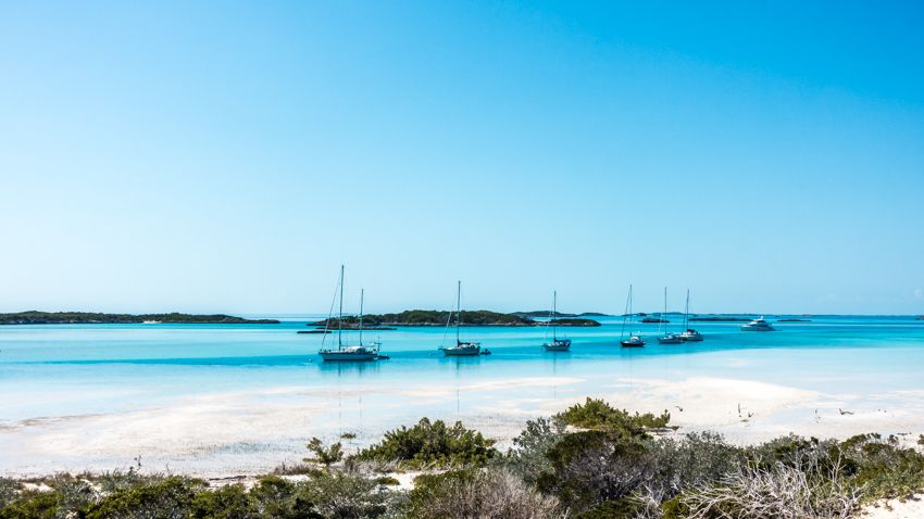 sailboats all lined up like ducks in a row
