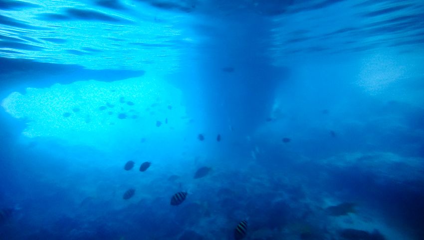 snorkeling thunderball grotto