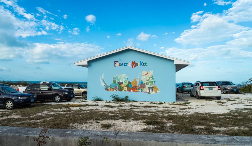best farmers market bahamas