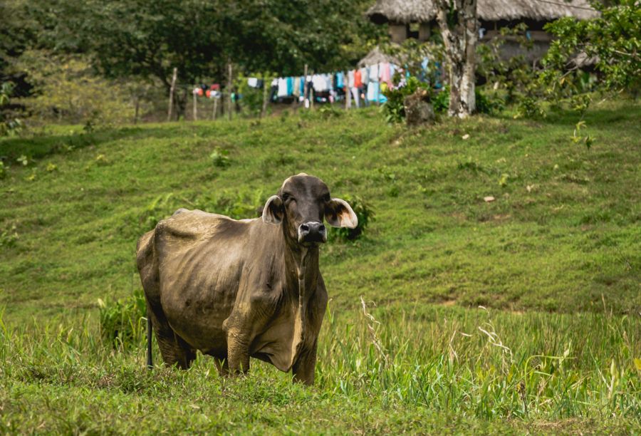 salt creek, isla bastimentos
