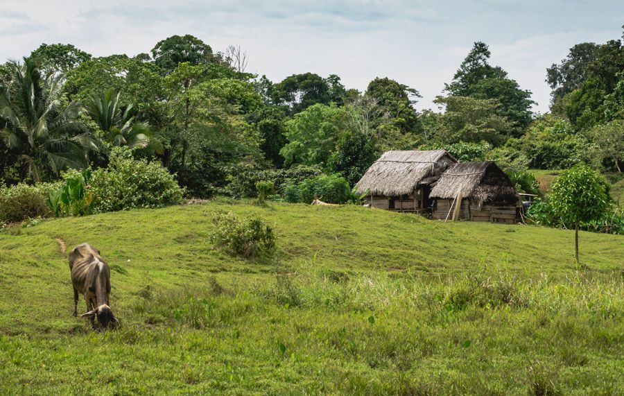 salt creek, isla bastimentos