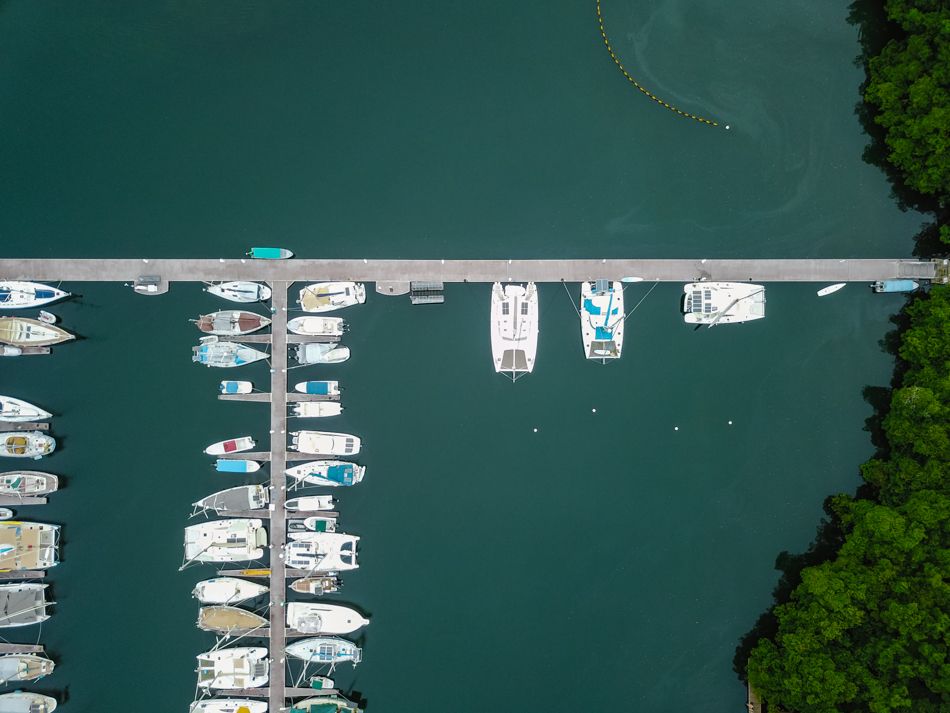 red frog marina
