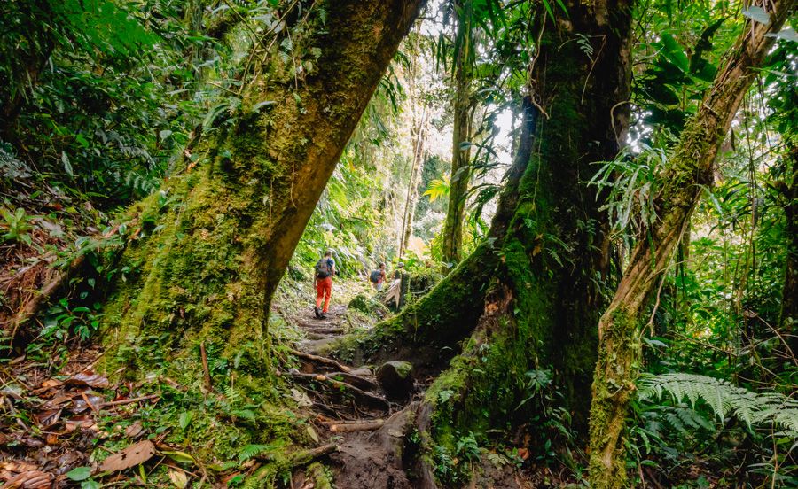 hiking the lost waterfalls