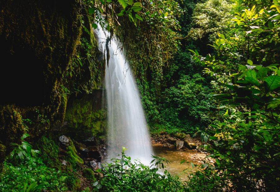 hiking the lost waterfalls