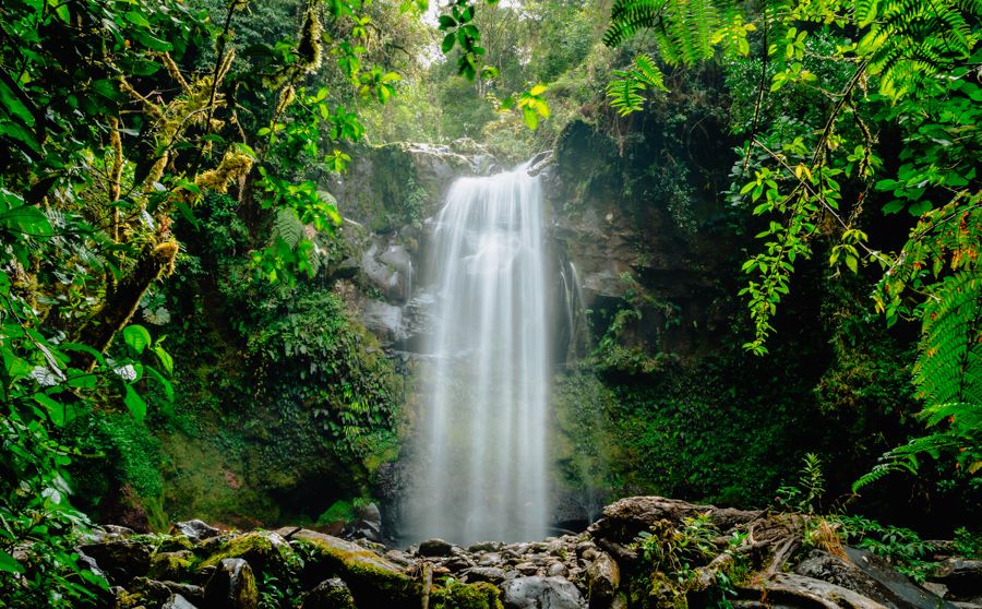 boquete panama road trip