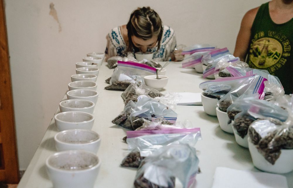 cupping coffee with graciano