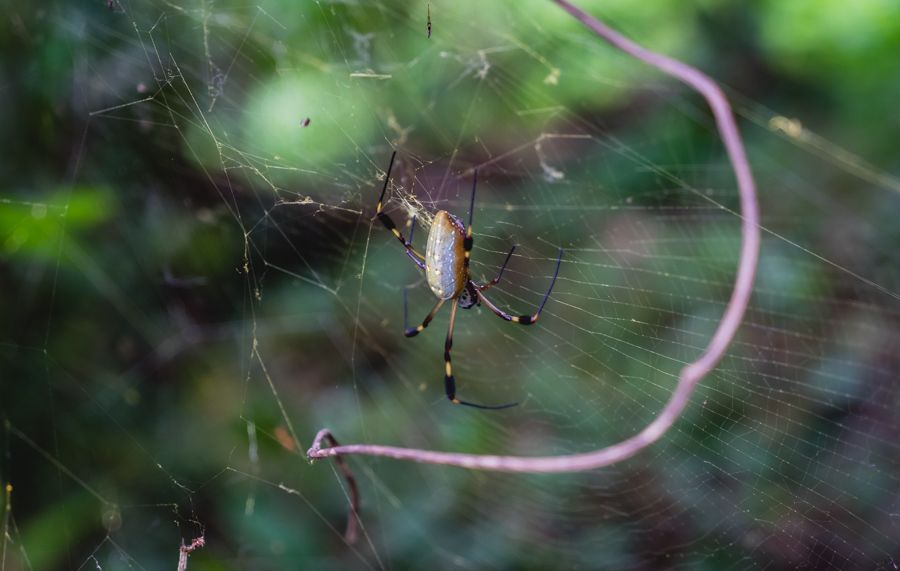sailing and exploring bocas del toro