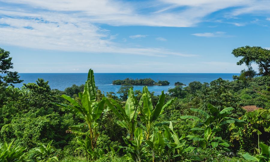 sailing and exploring bocas del toro