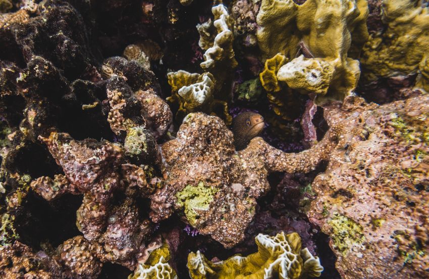 sailing and diving in Panama
