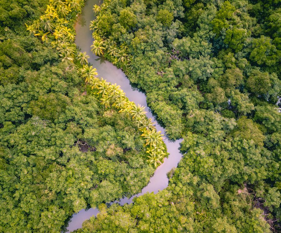 drone views of san blas