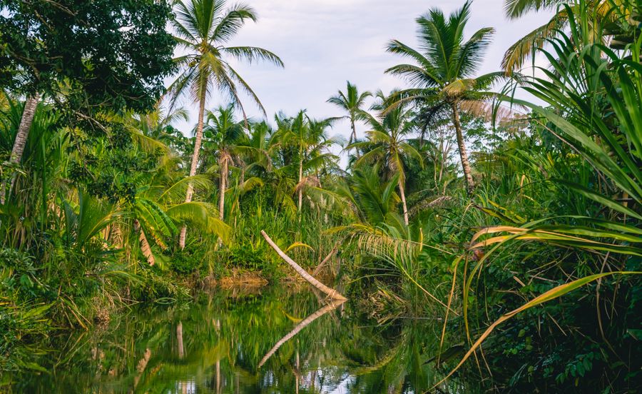 exploring the river in san blas