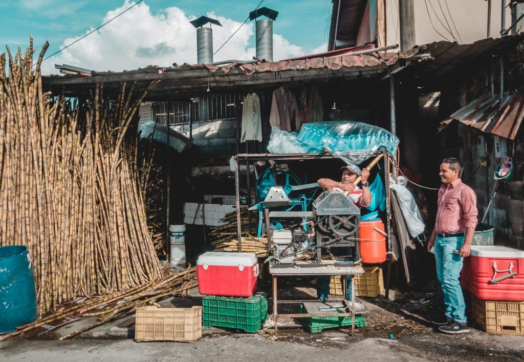 fresh pressed sugar cane
