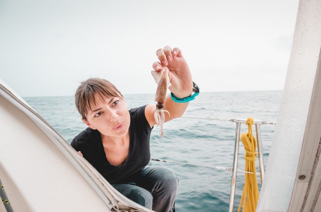 flying squid on a sailboat
