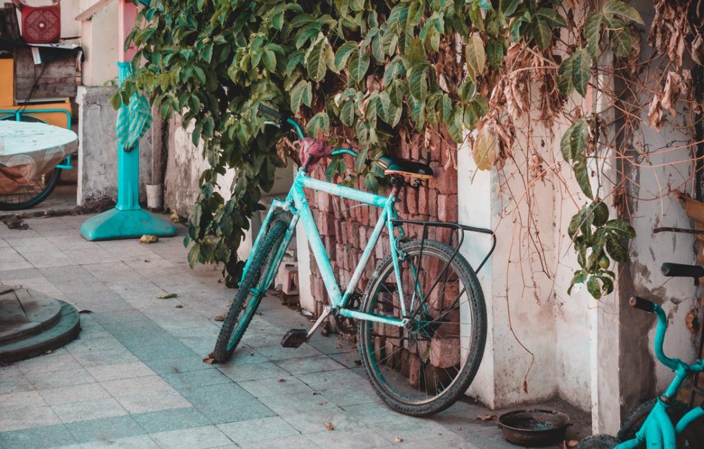 scenes from Ecuador