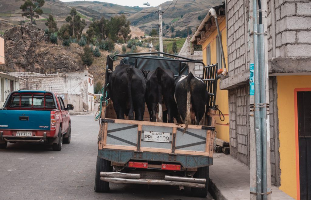 Andes Road Trip