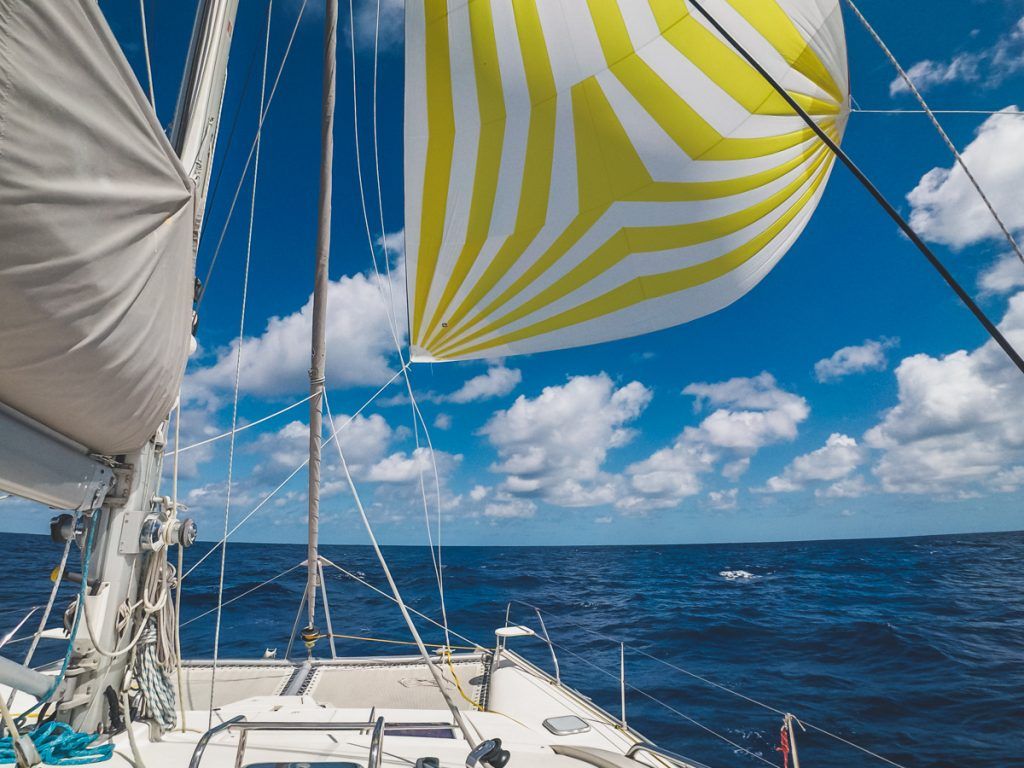 new sailboat action cam